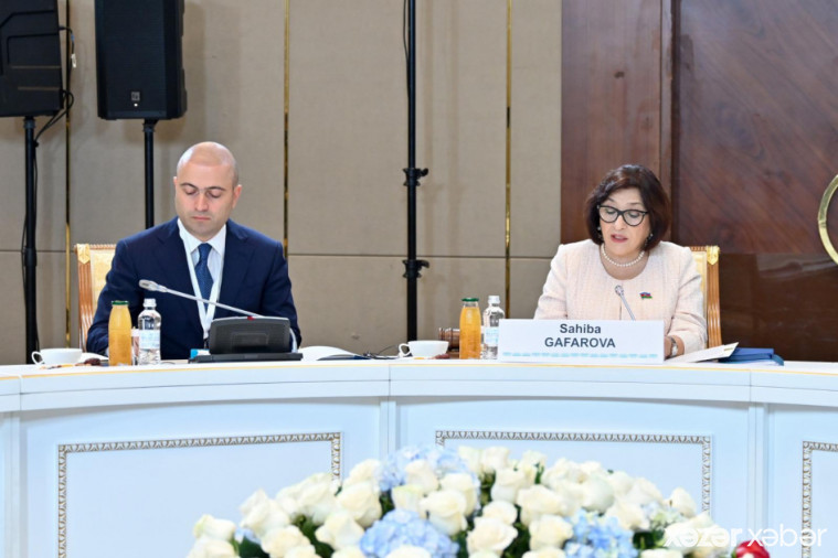 Astanada TÜRKPA Assambleya Şurasının iclası keçirilib