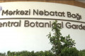 Nəbatat bağında azyaşlını ilan sancıb?