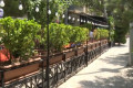 Yasamalda restoran piyadaların yolunu zəbt edib